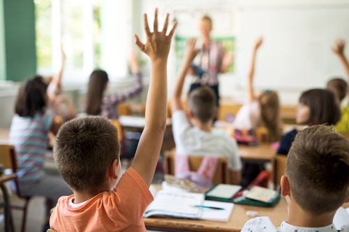 Boy Raising Hand