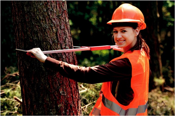 Associate of Science in Forestry